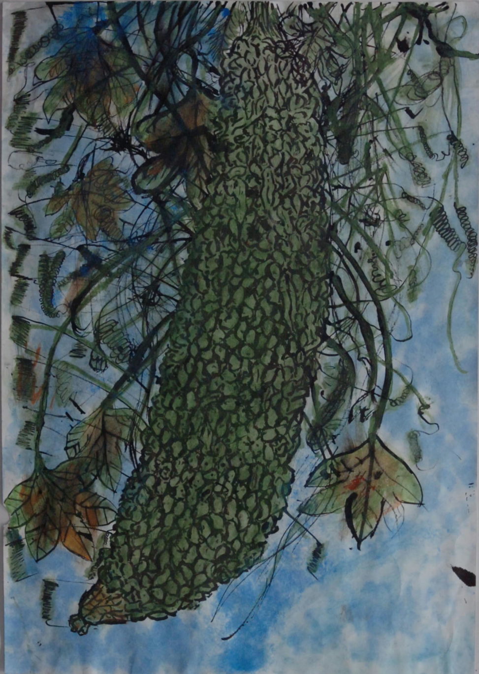 ゴーヤ・ジャンボー