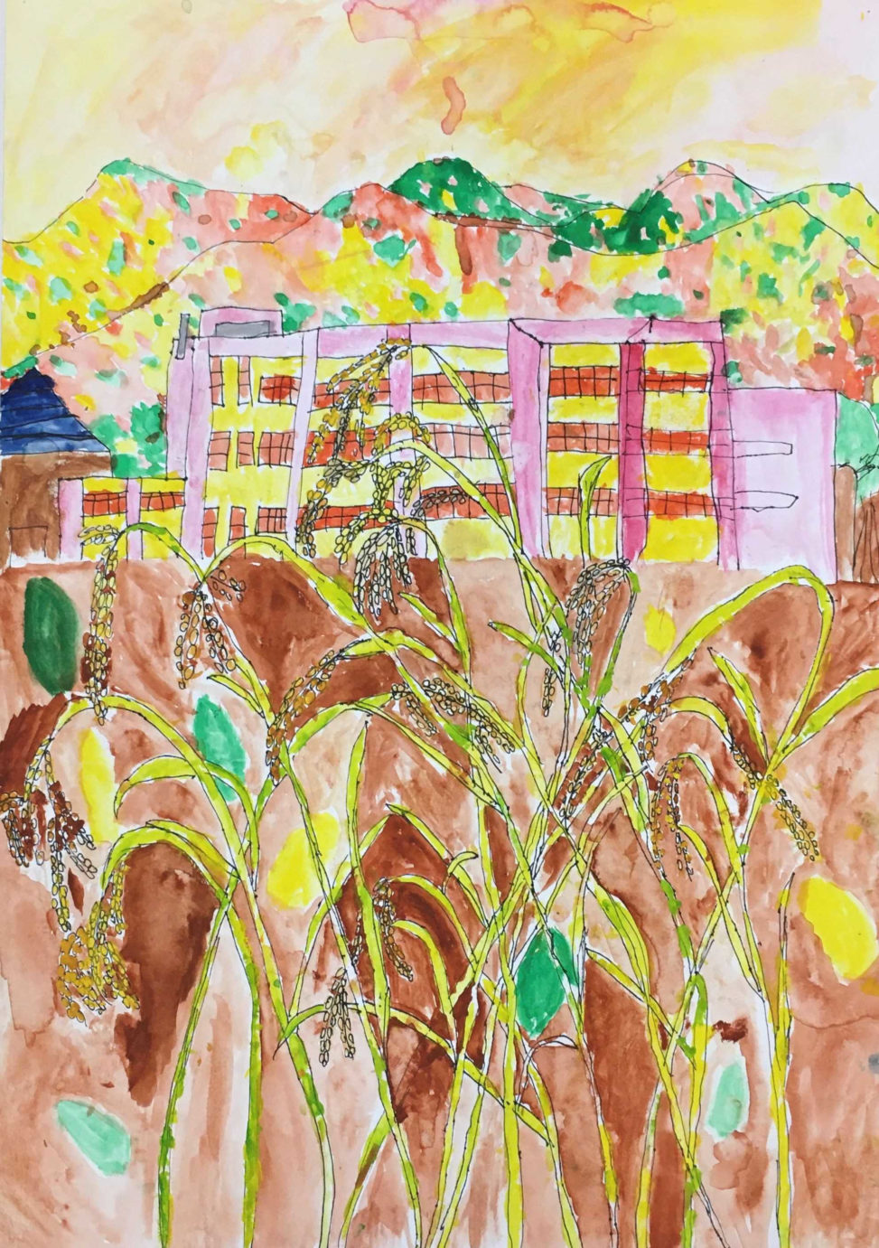 稲と夕焼けにそまる景色