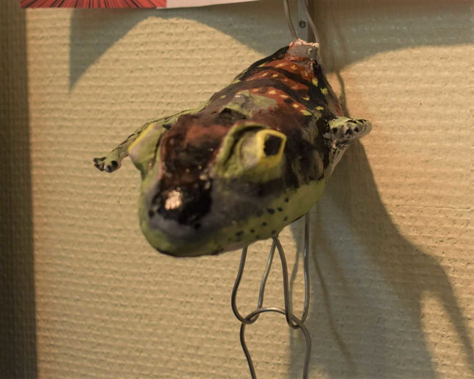 サキシマキノボリトカゲのノボトカ